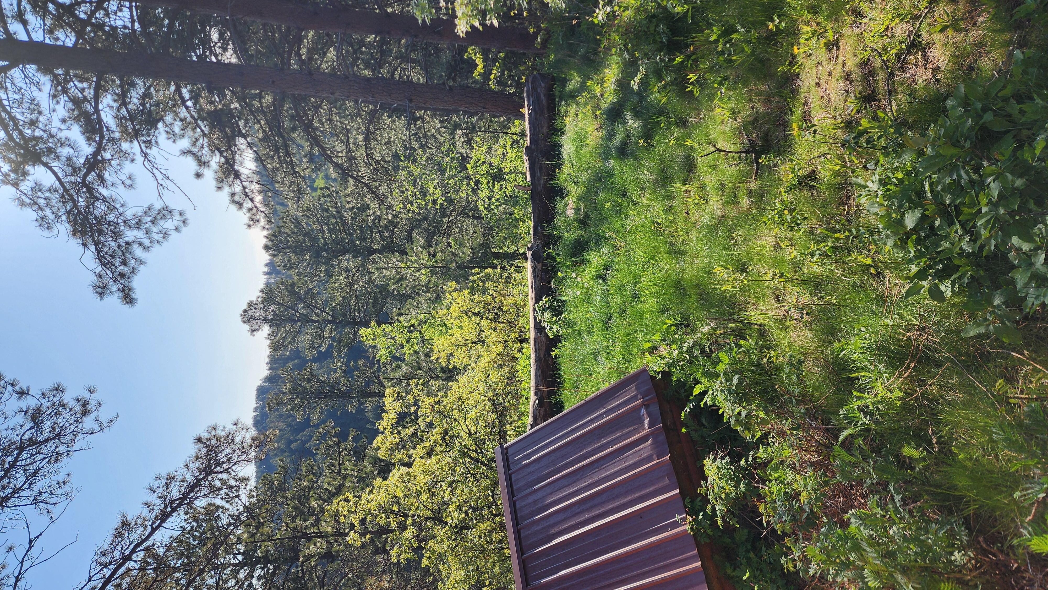 A view from the back porch