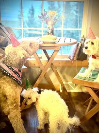 We celebrated a 7th birthday, with amazing views.