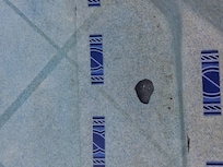 Holes in pool steps very sharp