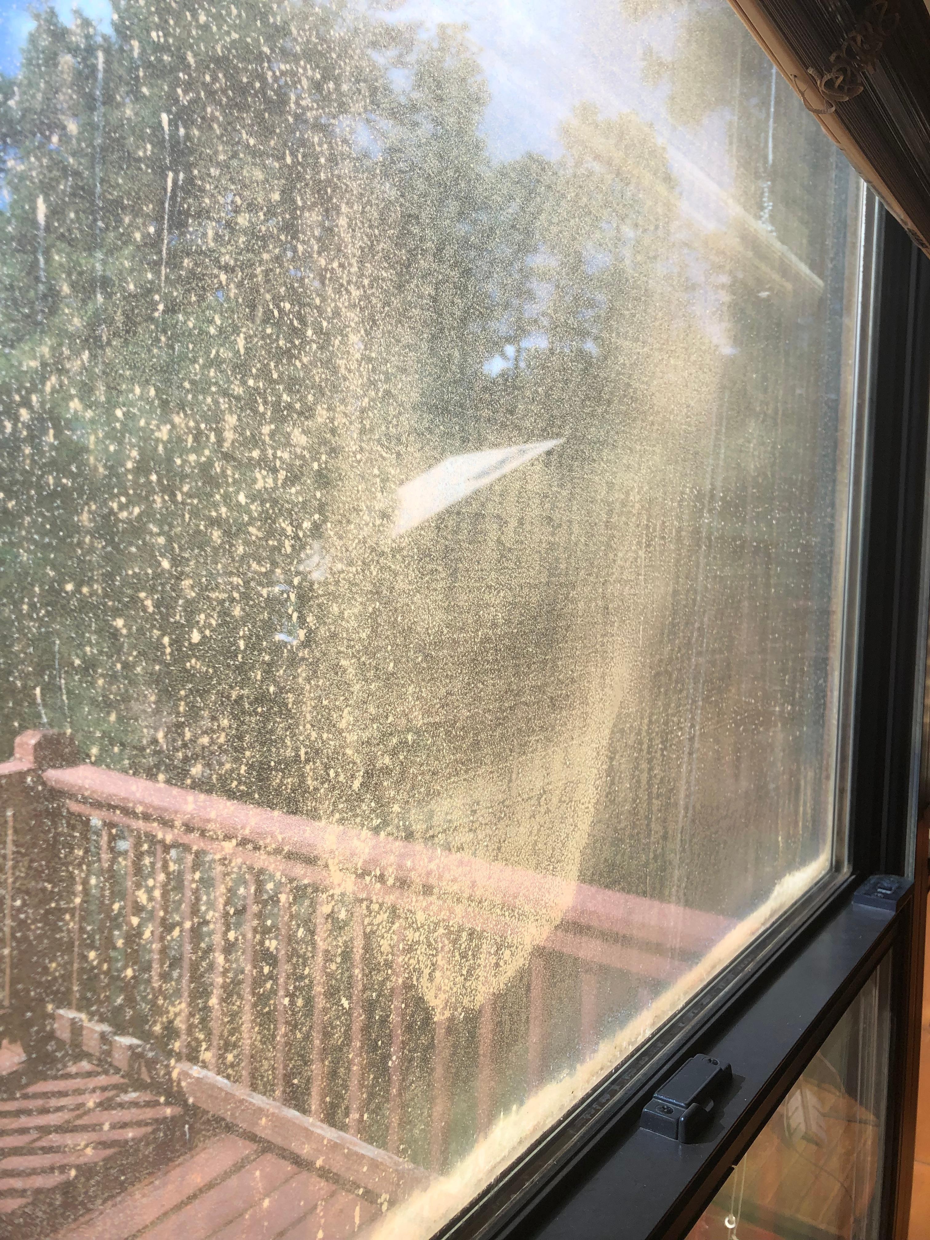 This is the view from mist of the windows.