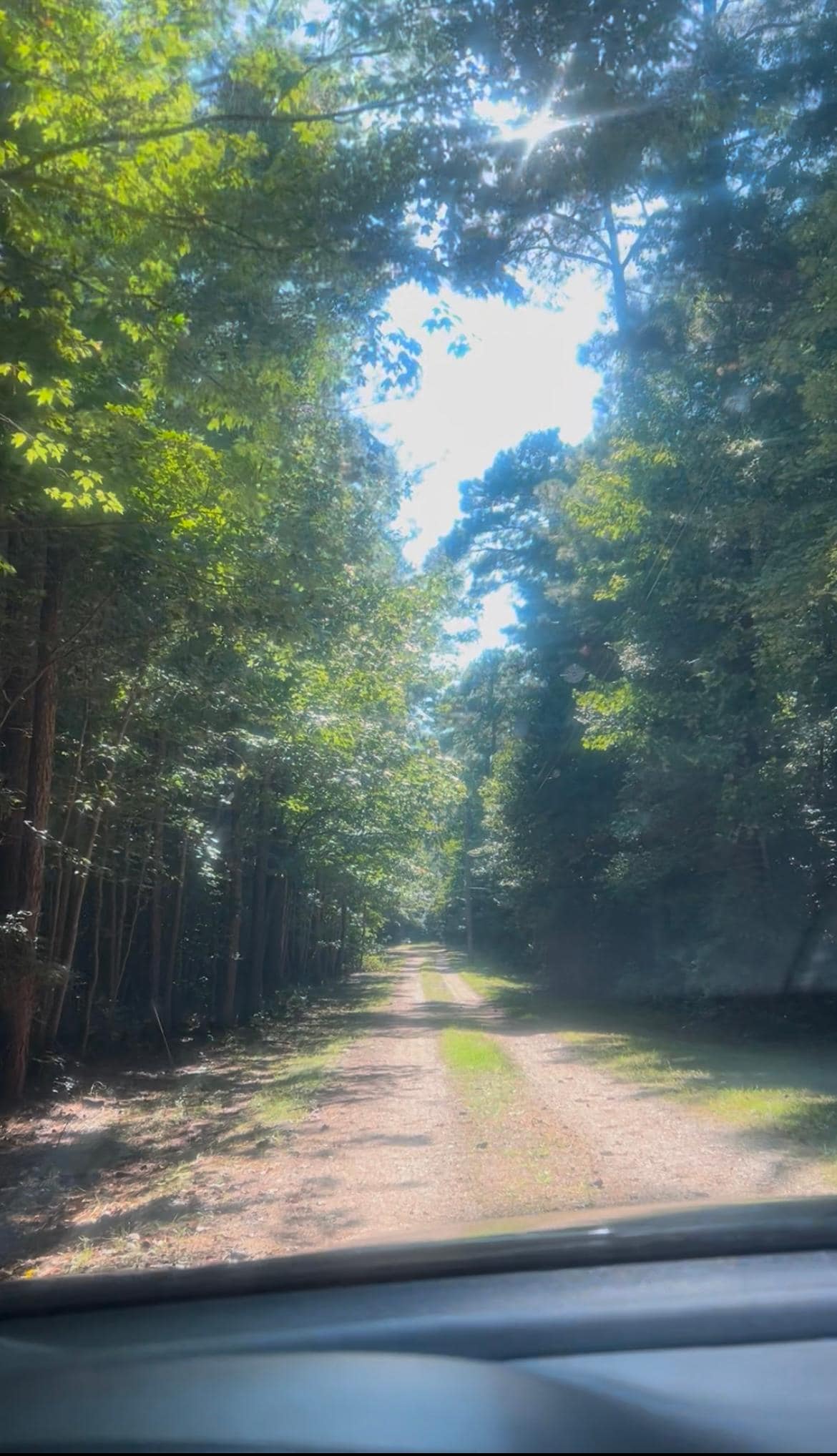 Driveway to the property 