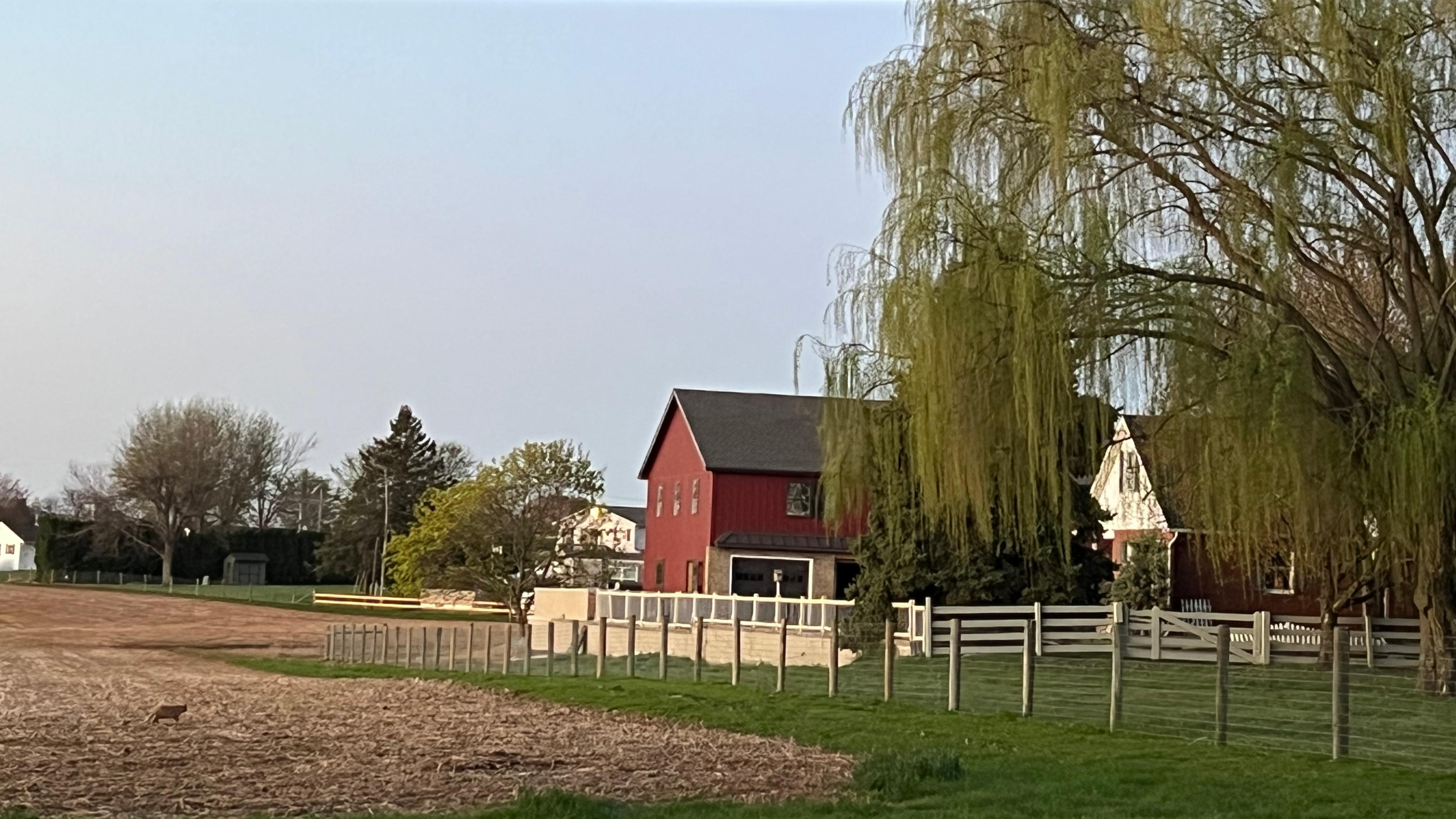 View of the farm across the street