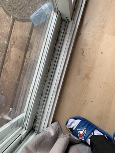 All windows/sliding doors