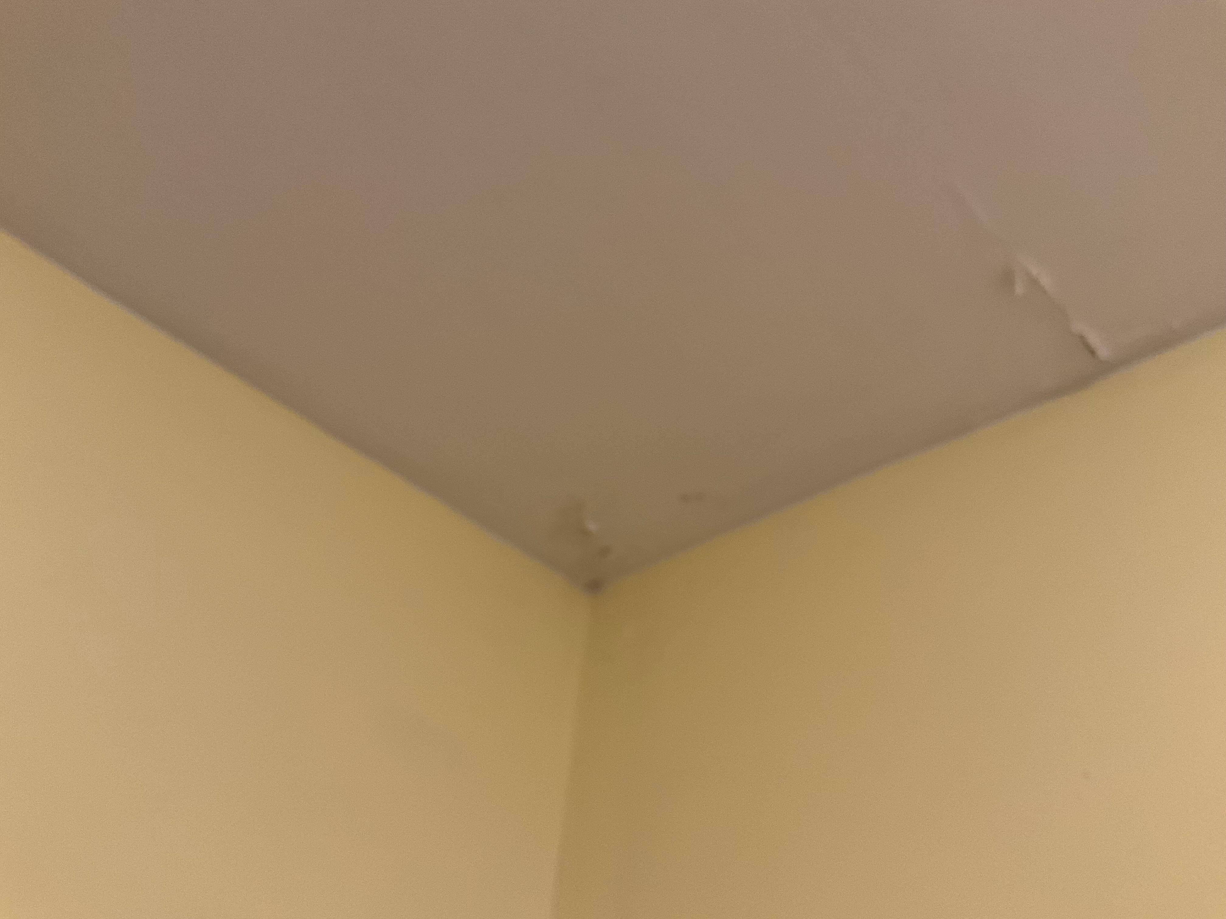 Bathroom ceiling