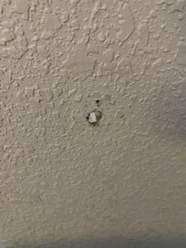 Walls gad damage not repaired.