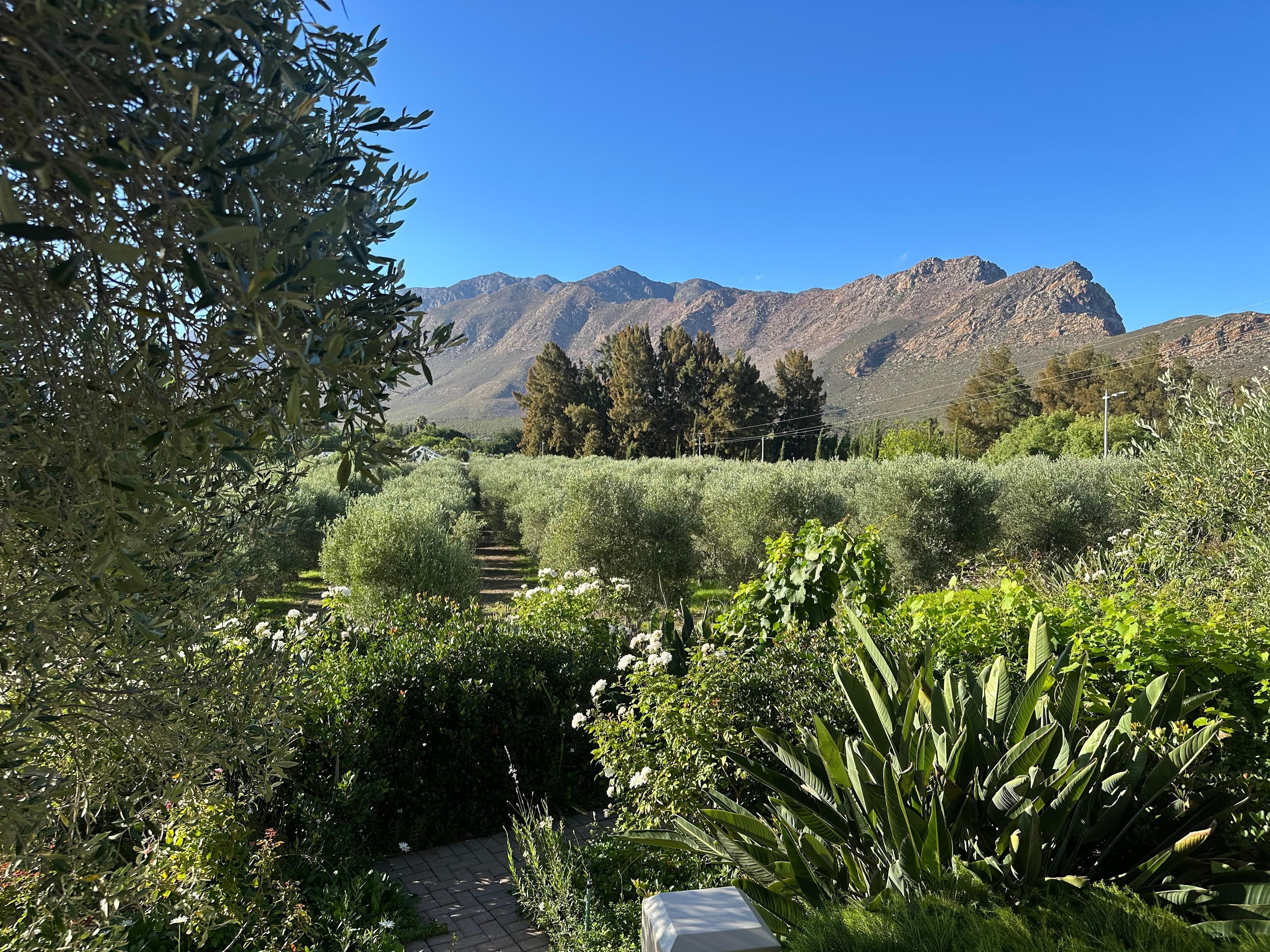 And from the breakfast area.