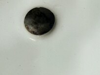 Sink overflow vent with black mold.