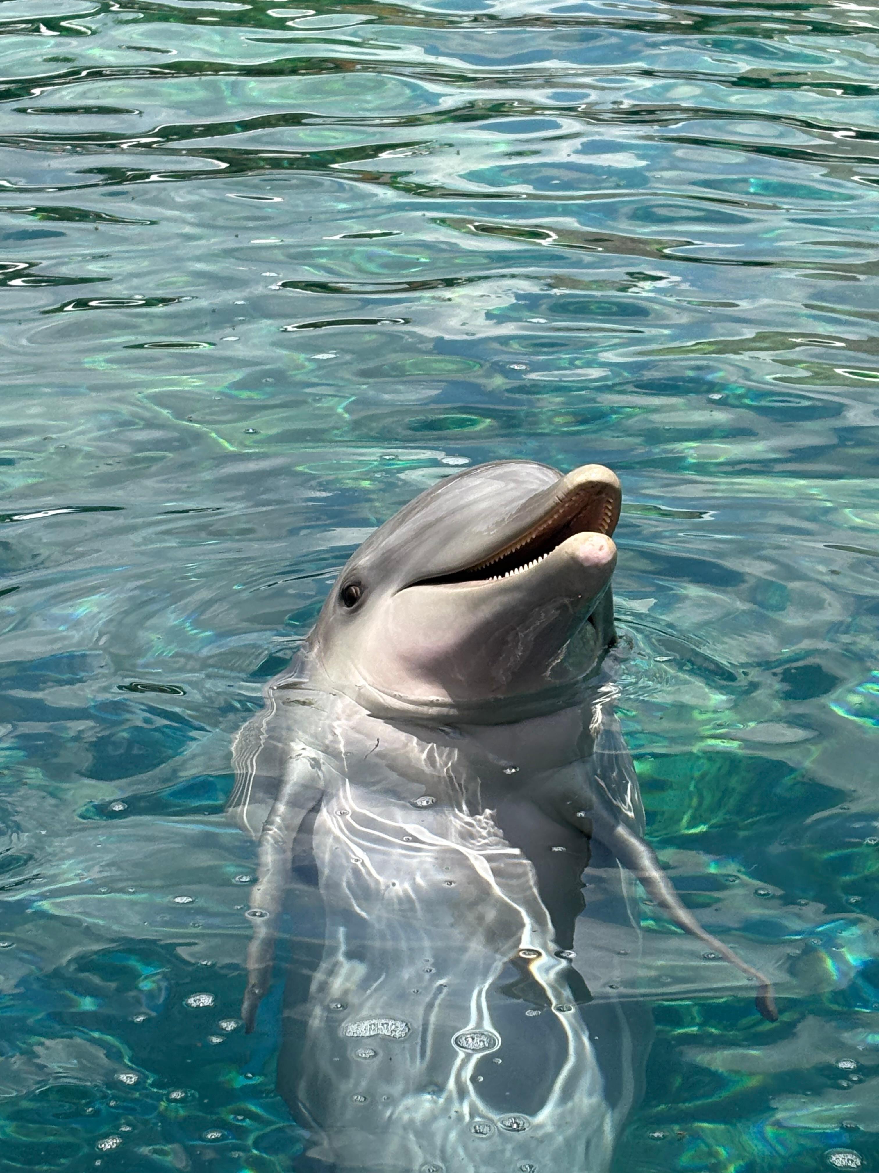 SeaWorld 