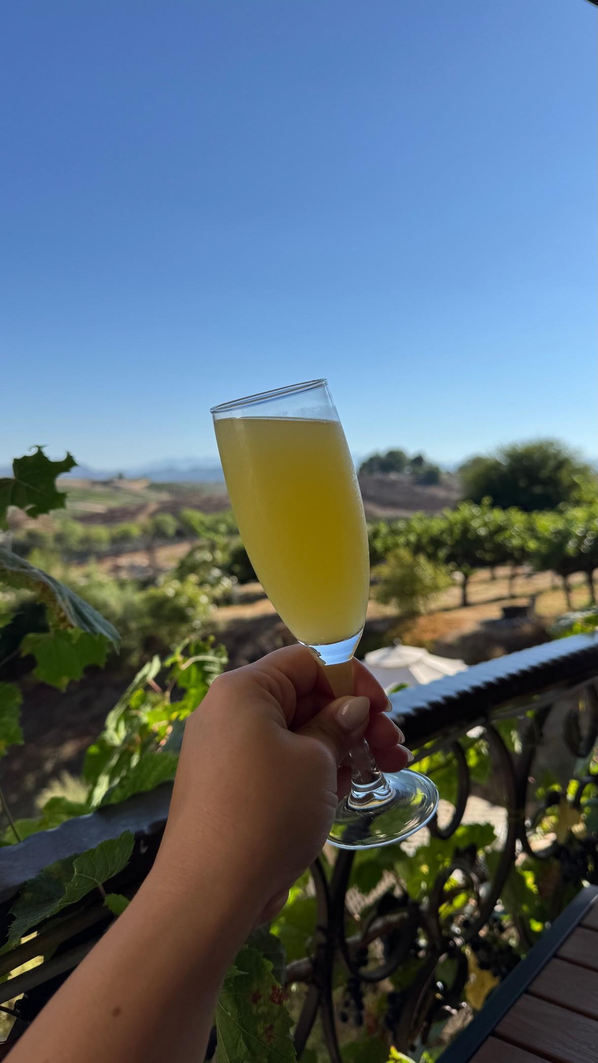 yummy mimosa with breakfast