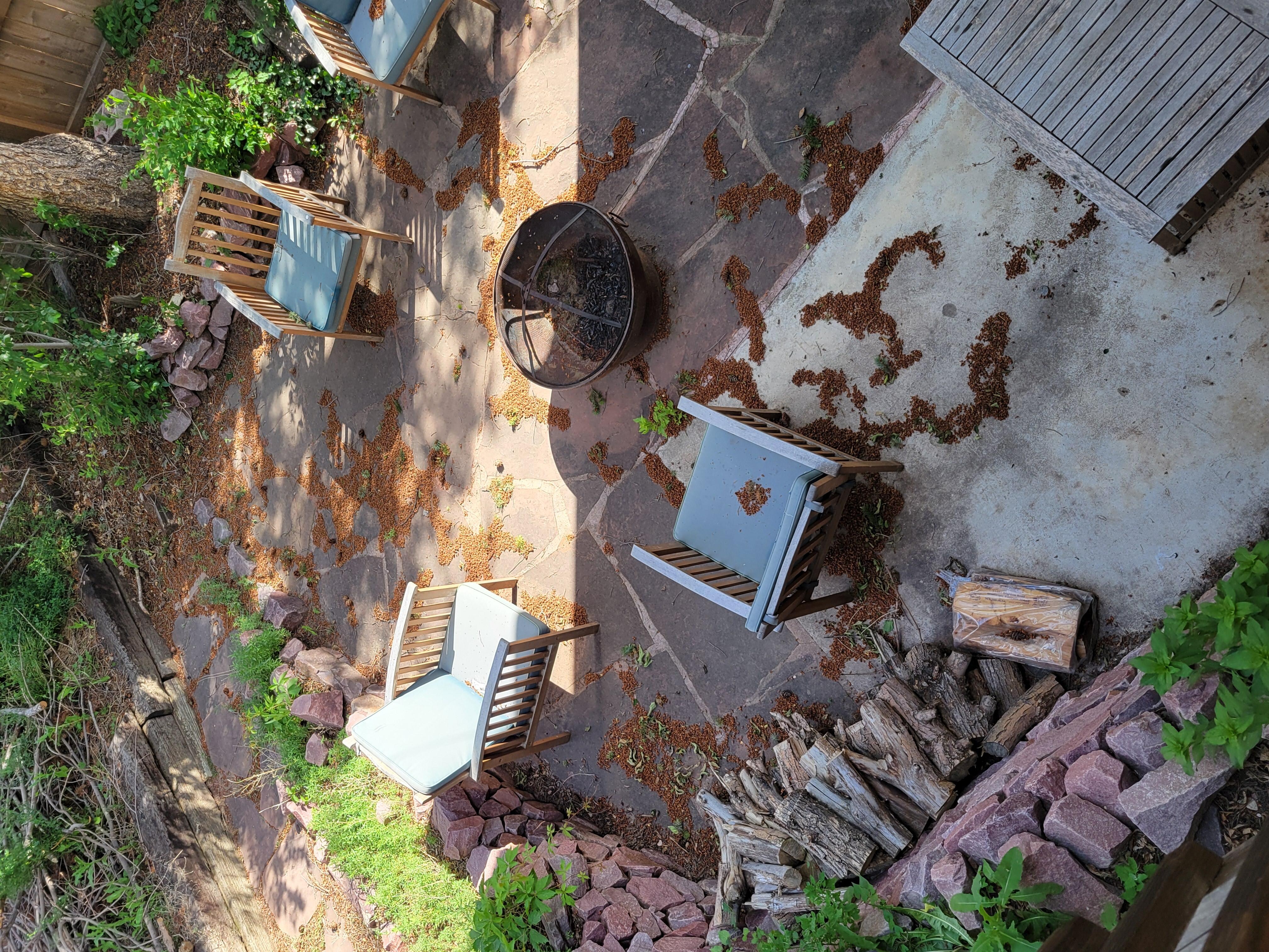 Yard