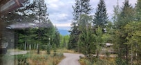 The view