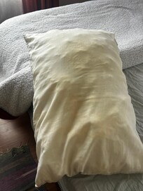 Nasty pillows,old and yellow, smelly