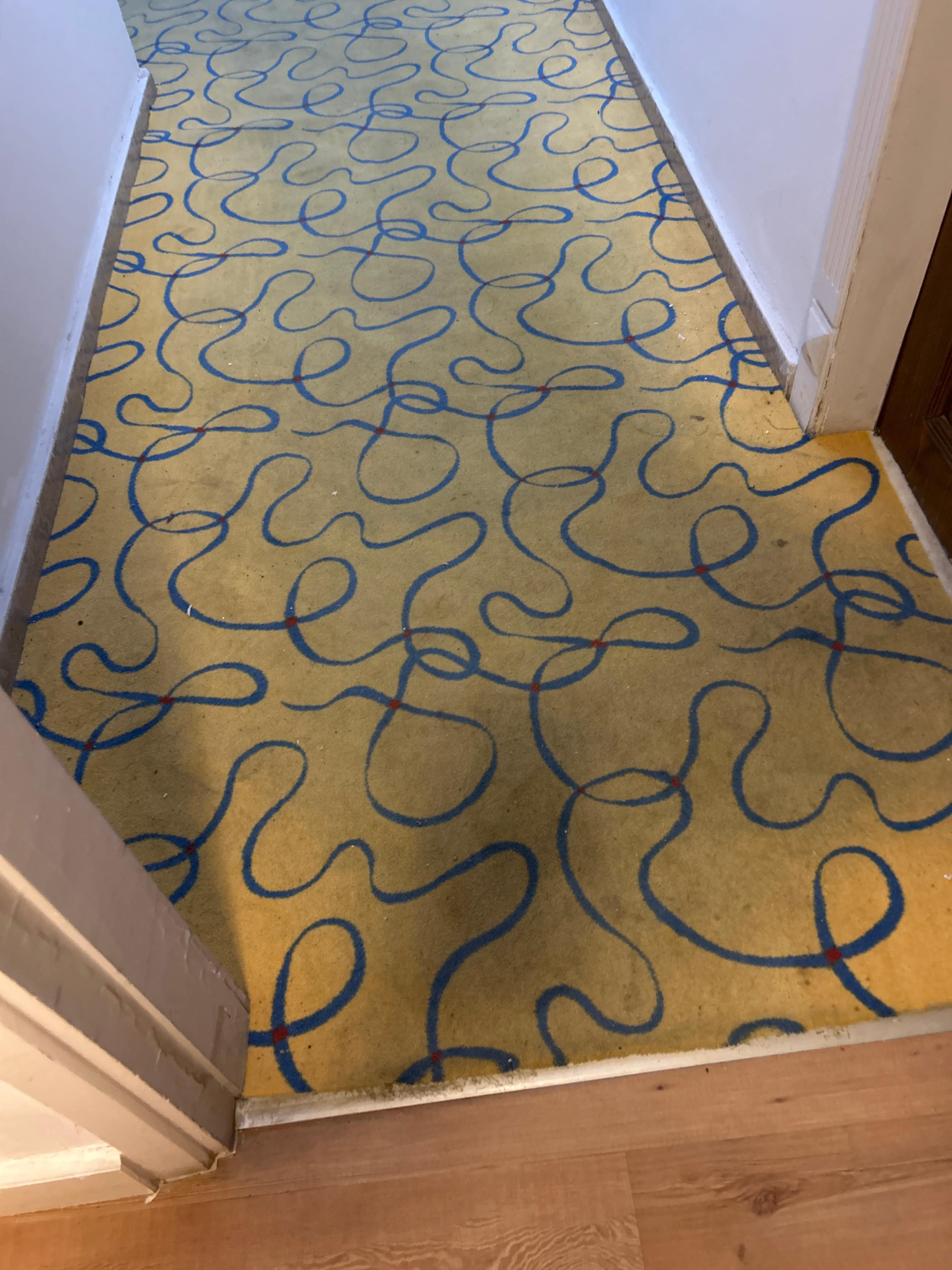 Halılar rezalet durumda