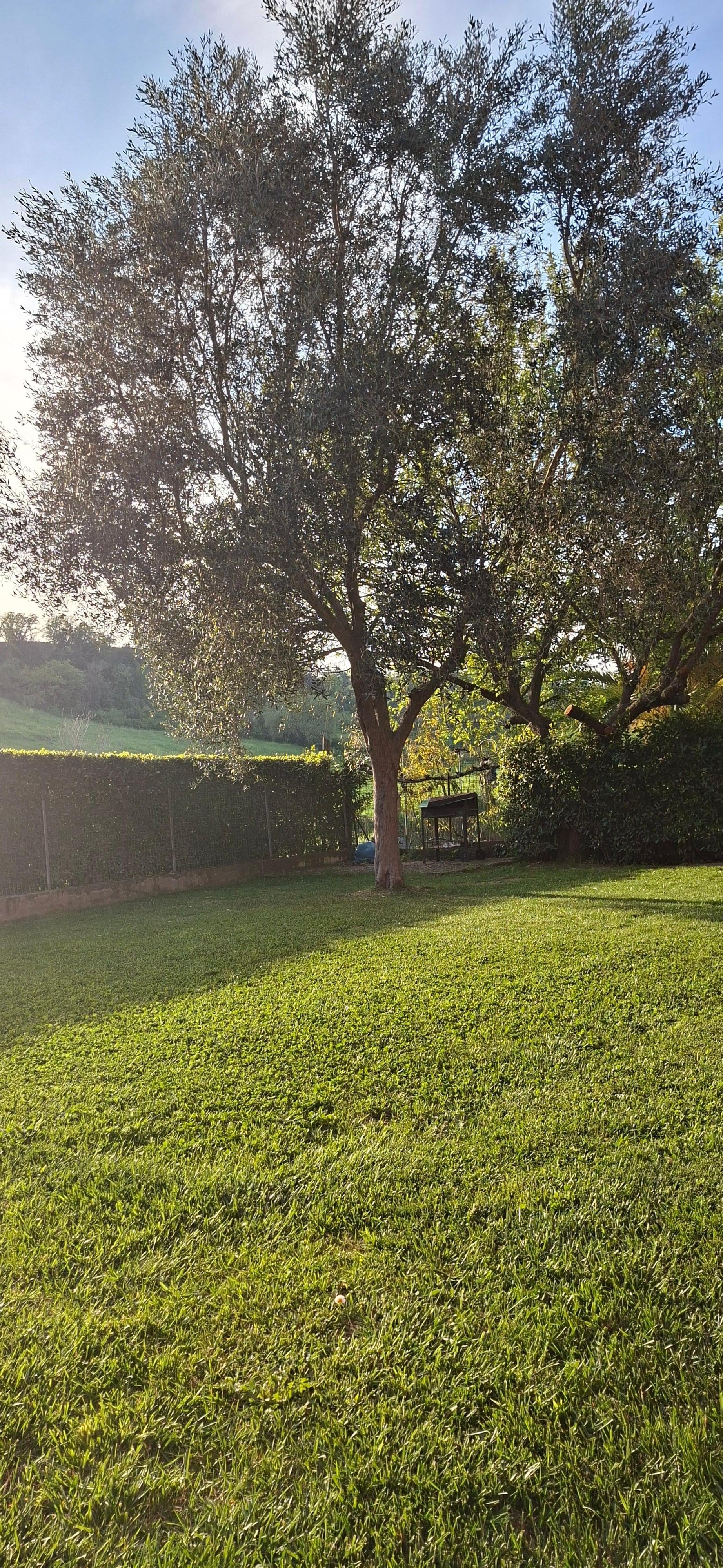Il giardino della casa