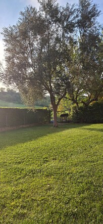 Il giardino della casa