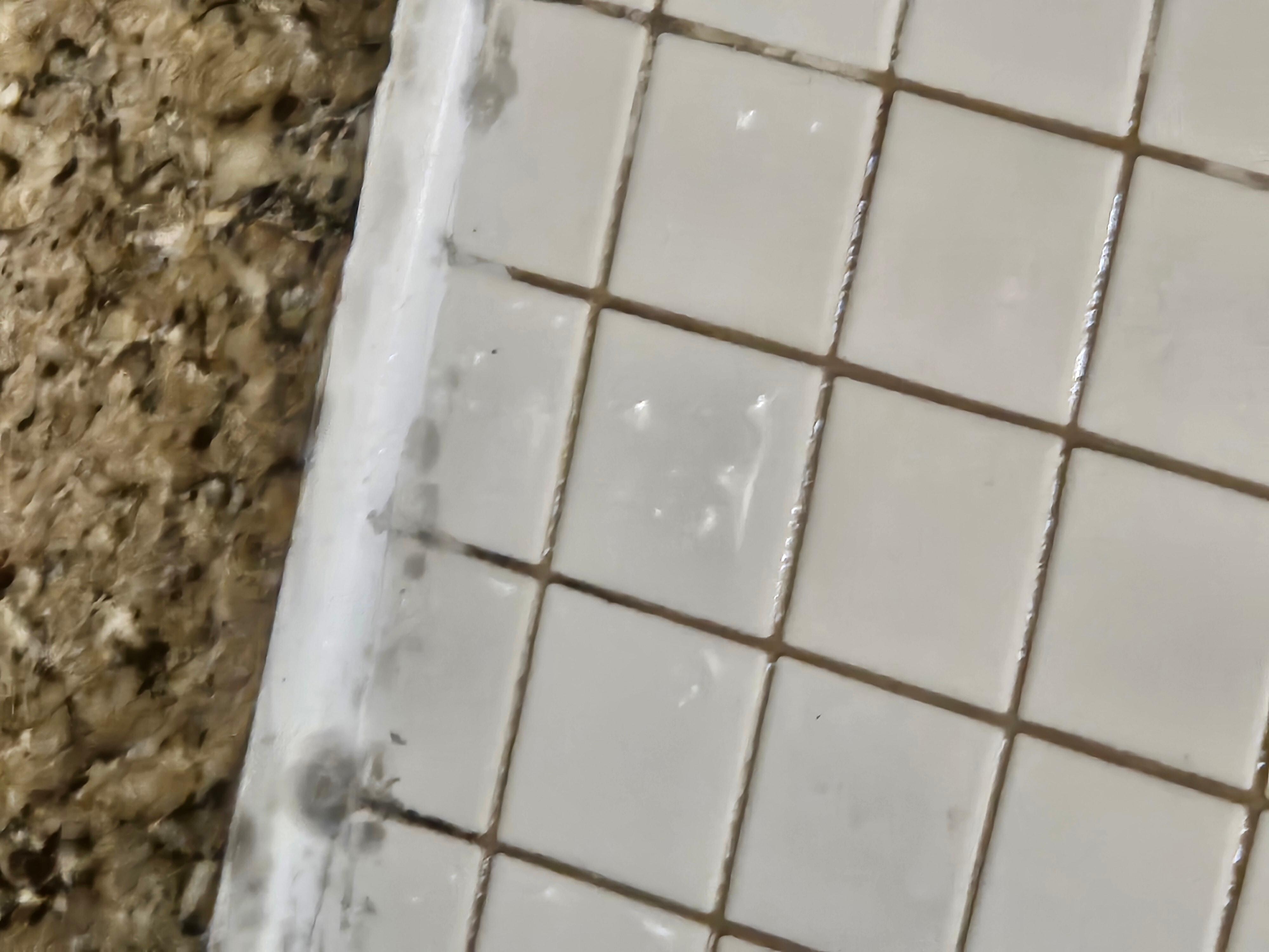 Shower was wet and smelly