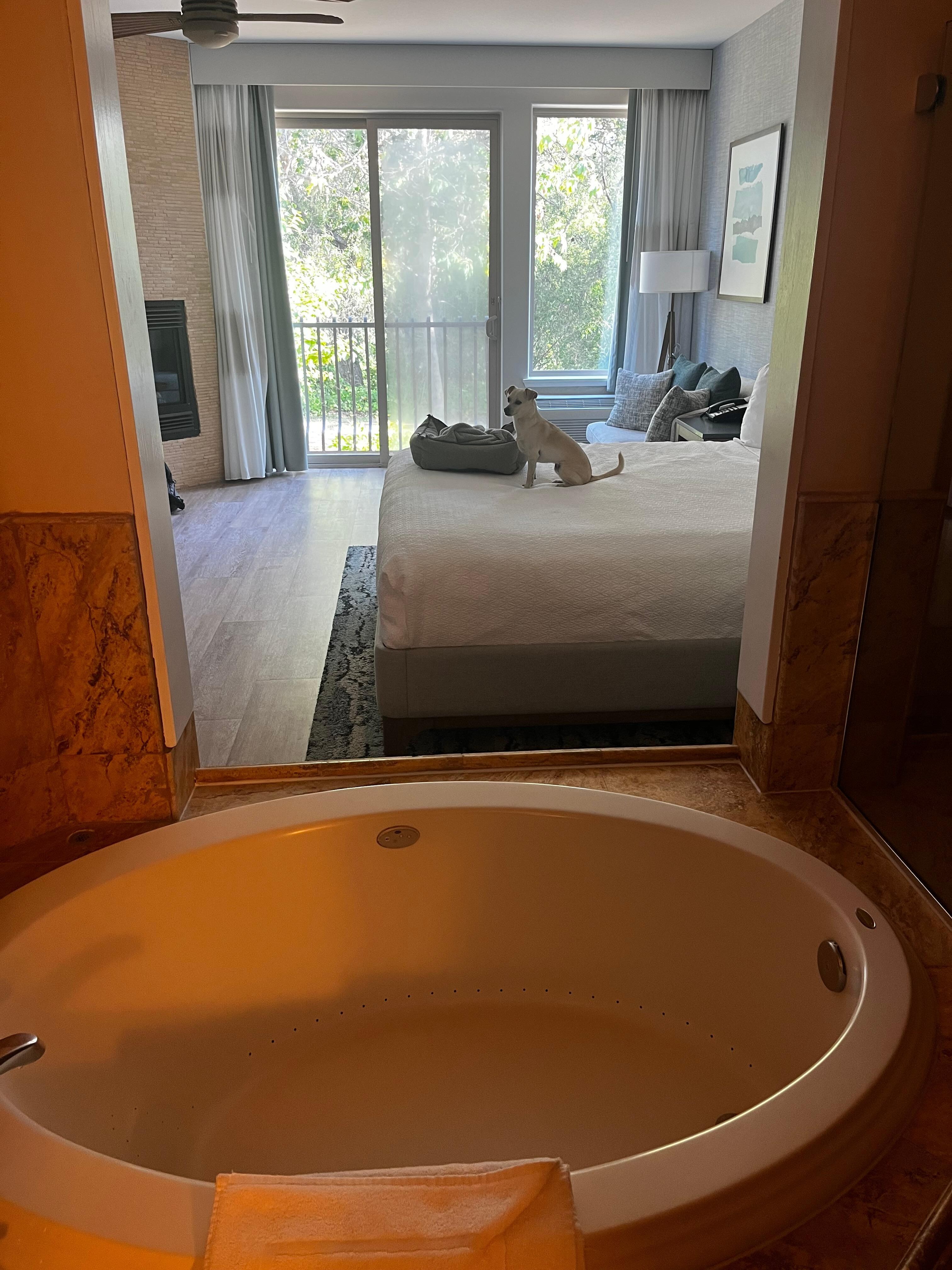 Luna loved the room too!