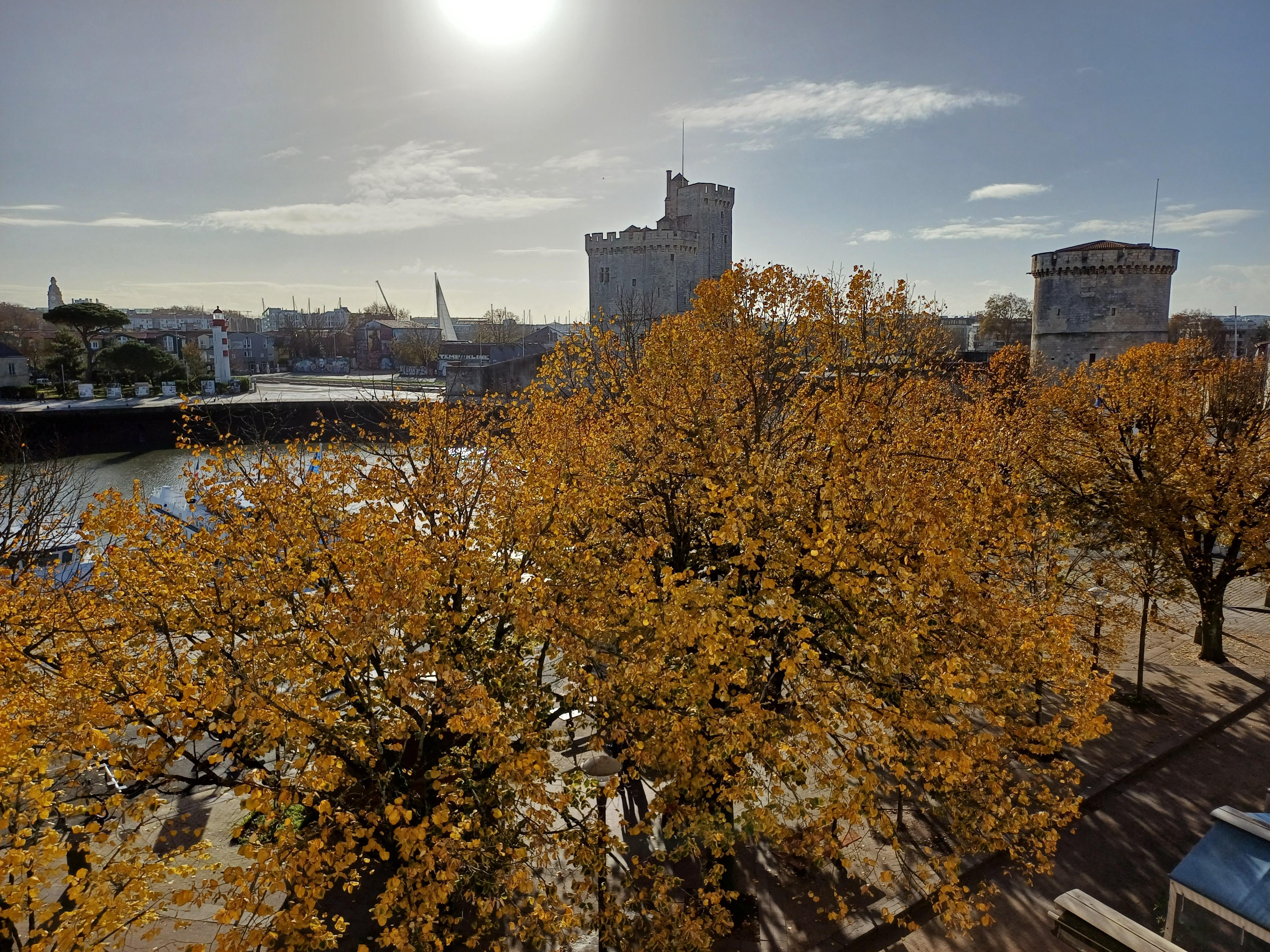 Vue depuis la chambre de jour en novembre