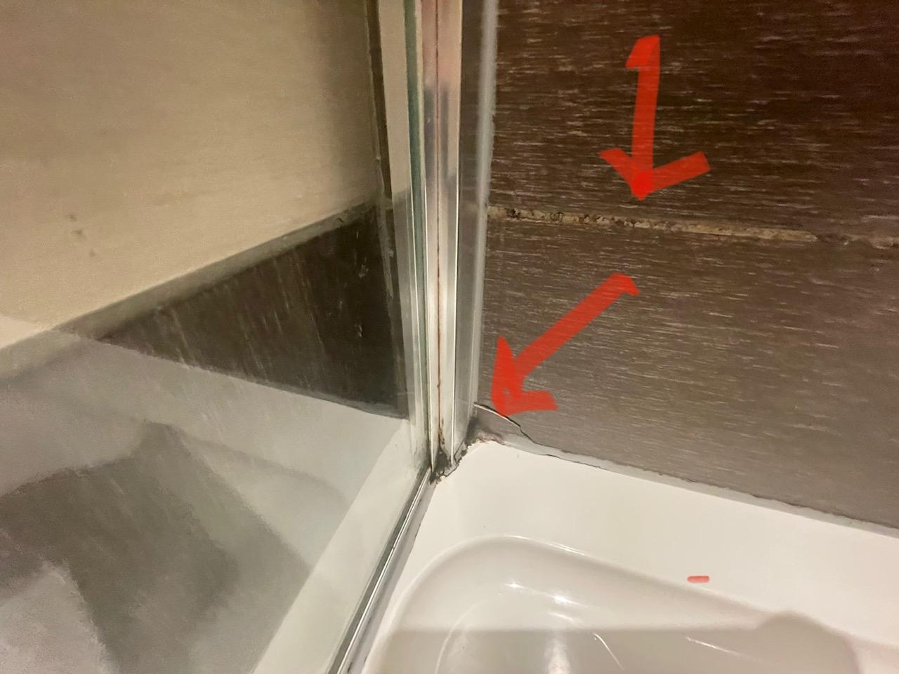 Black mold in shower corners and grout