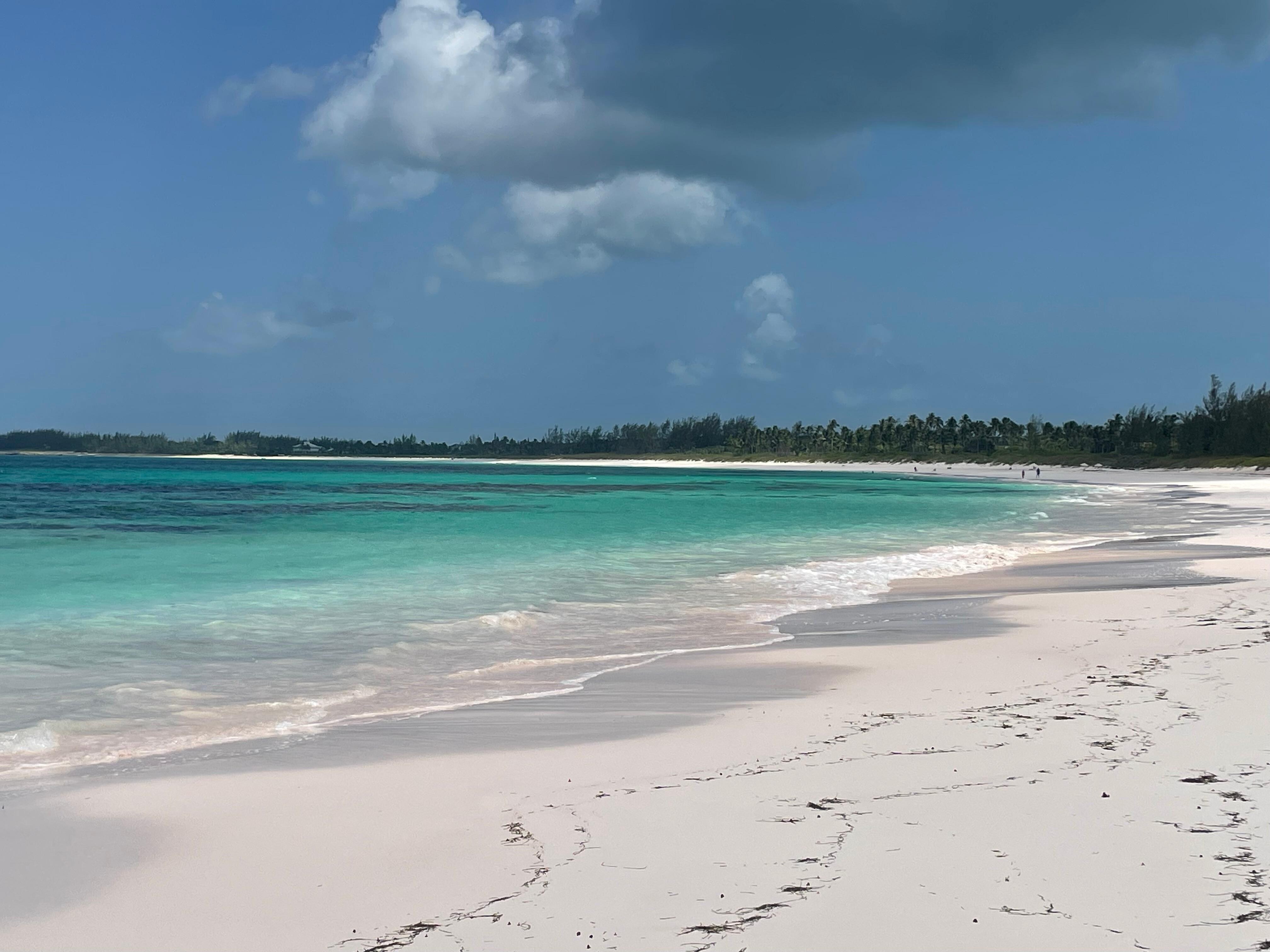 French Leave Beach looking right