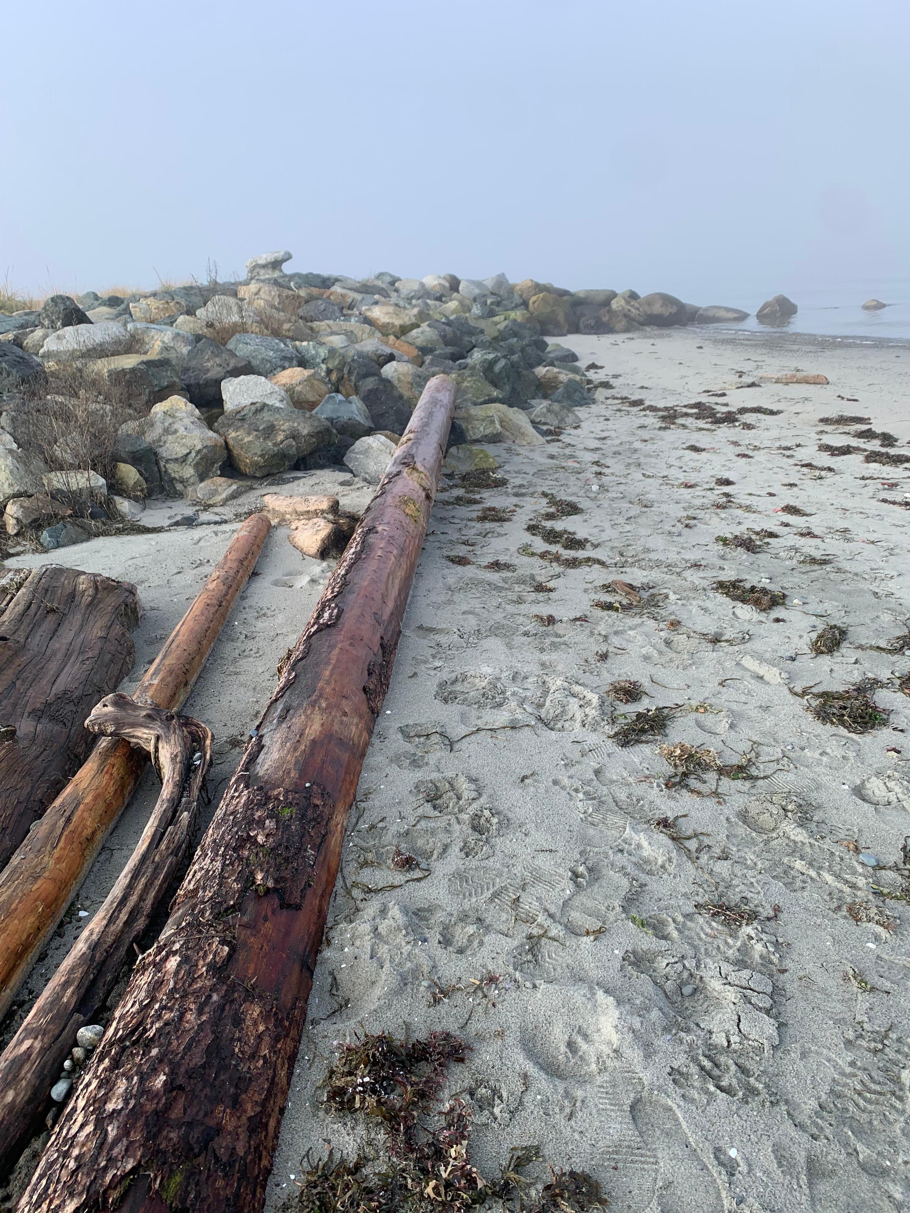 Peace and quiet…ahhhh