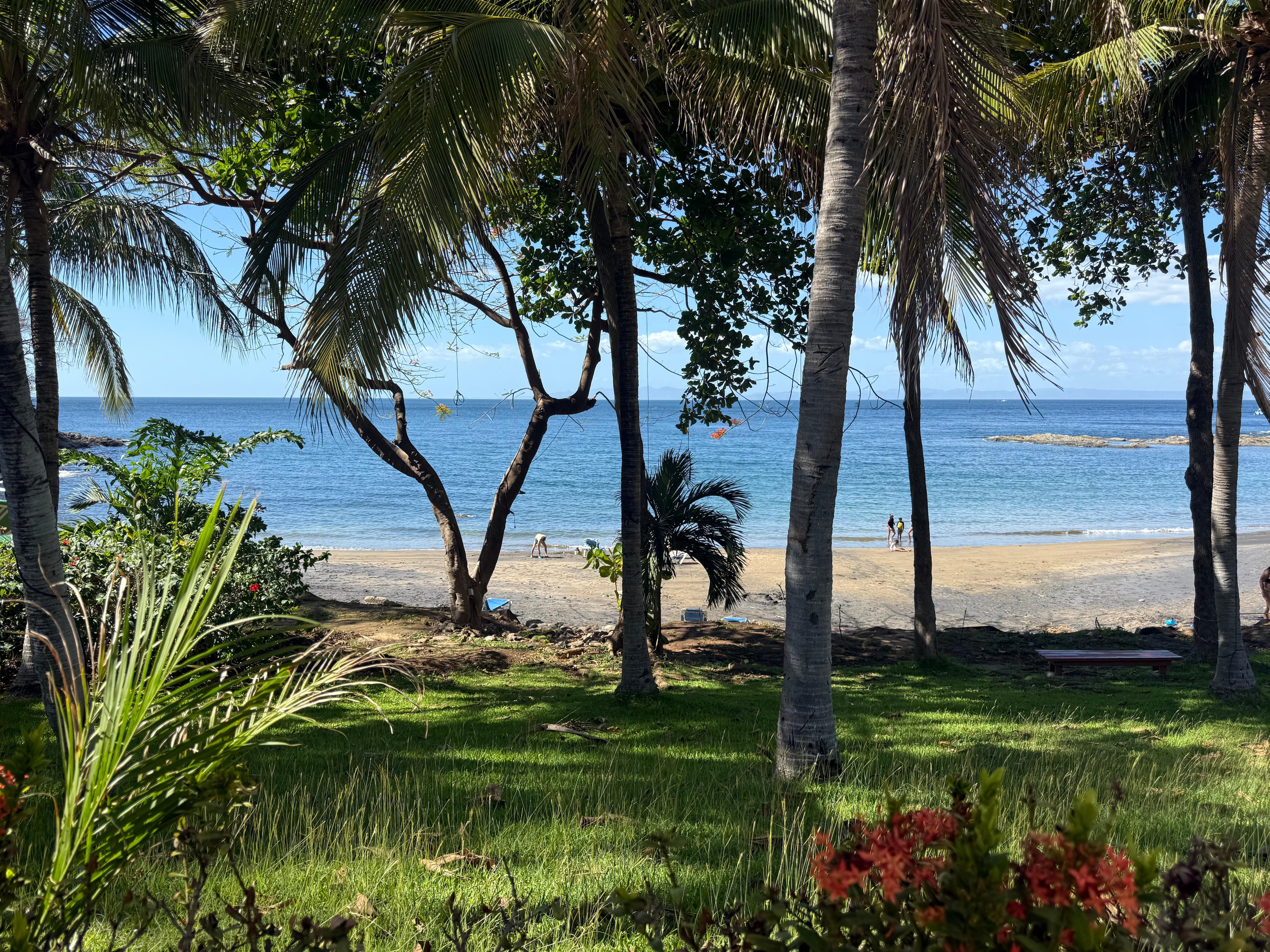 Restful view from the patio