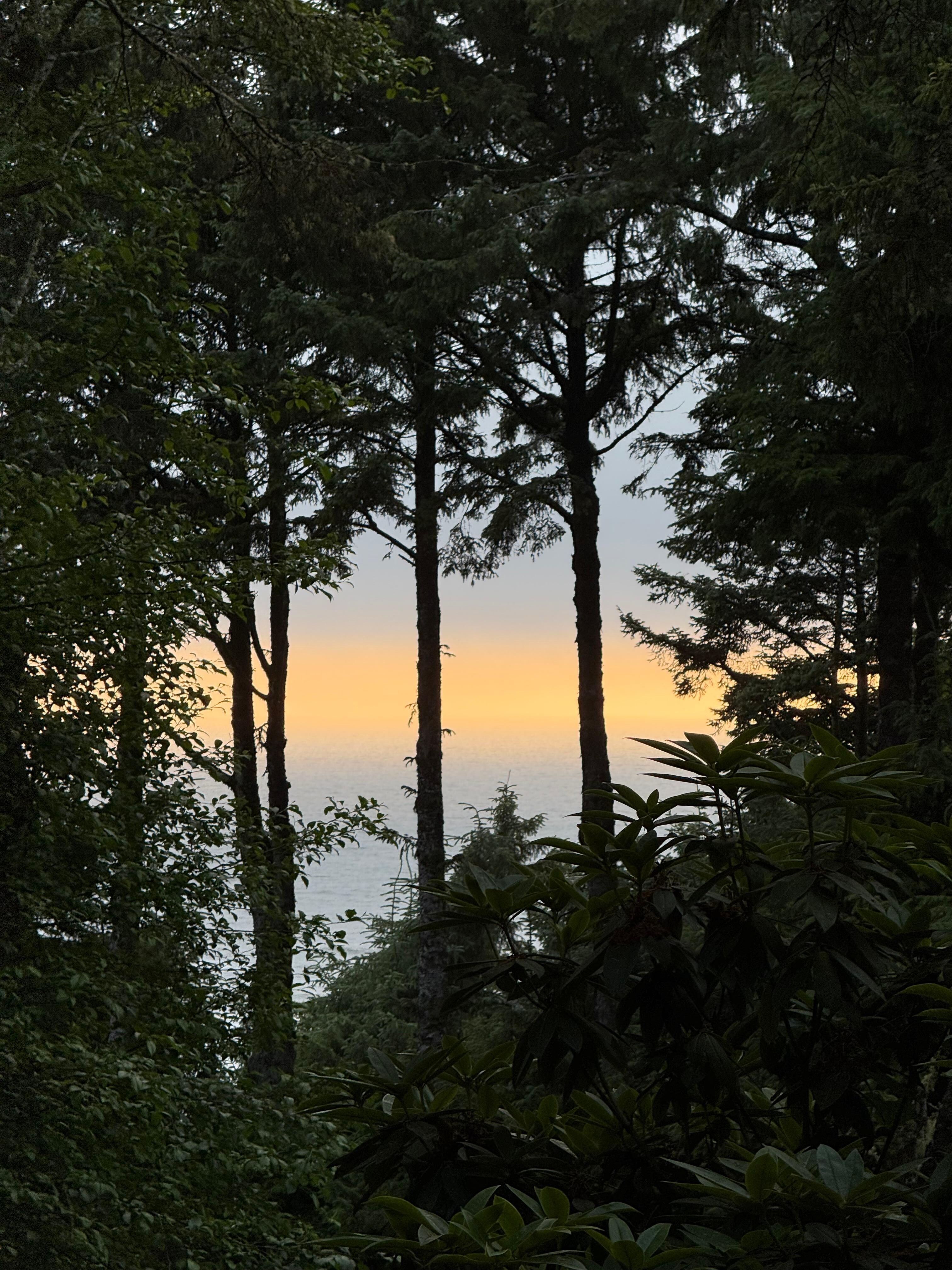 View from the walkway between the restaurant and check-in desk.