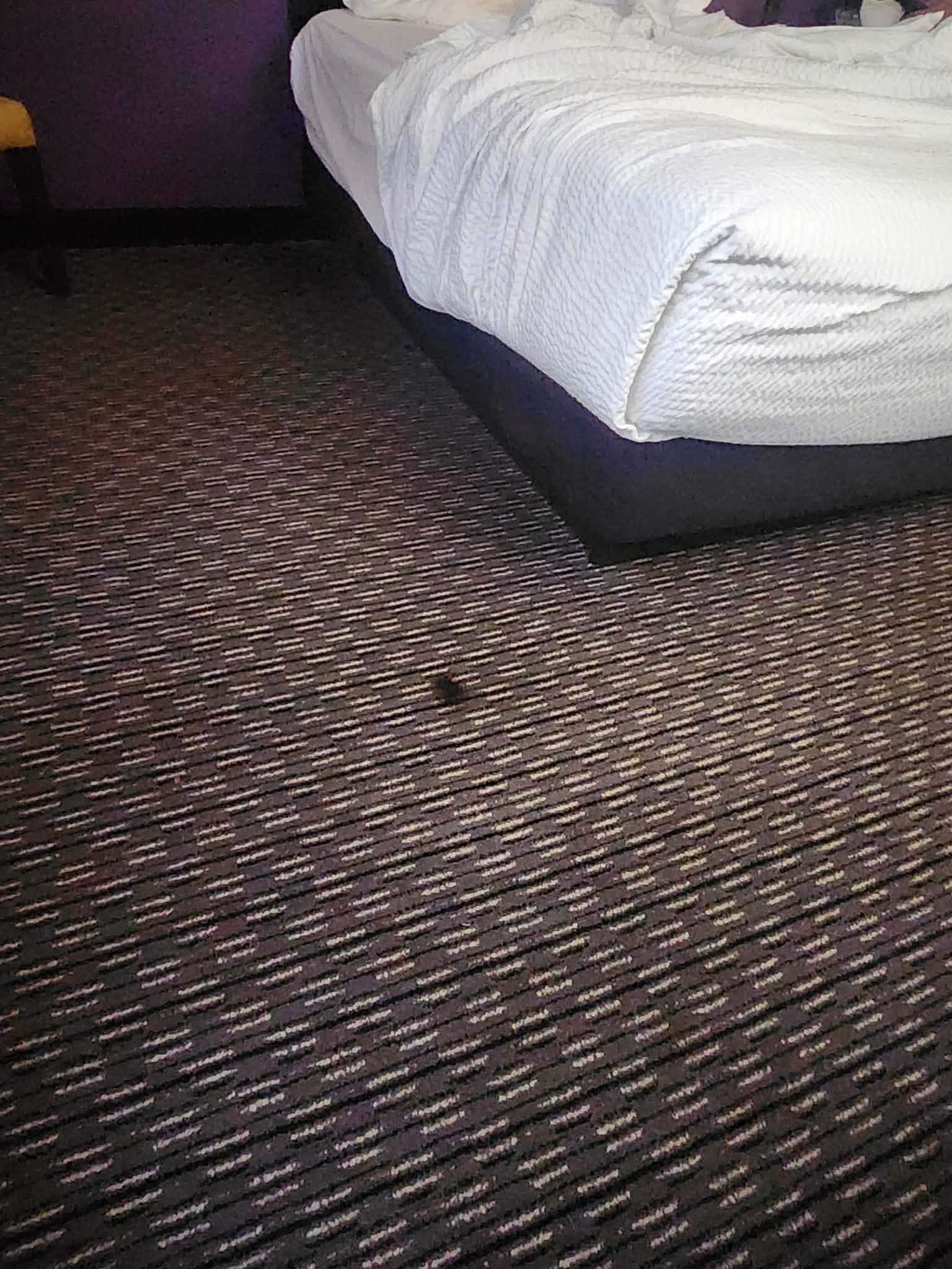 Carpet stain 
