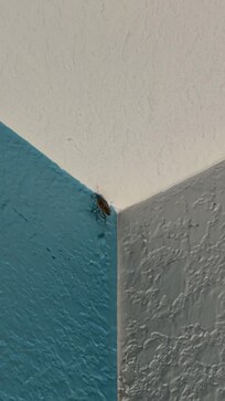 New friend