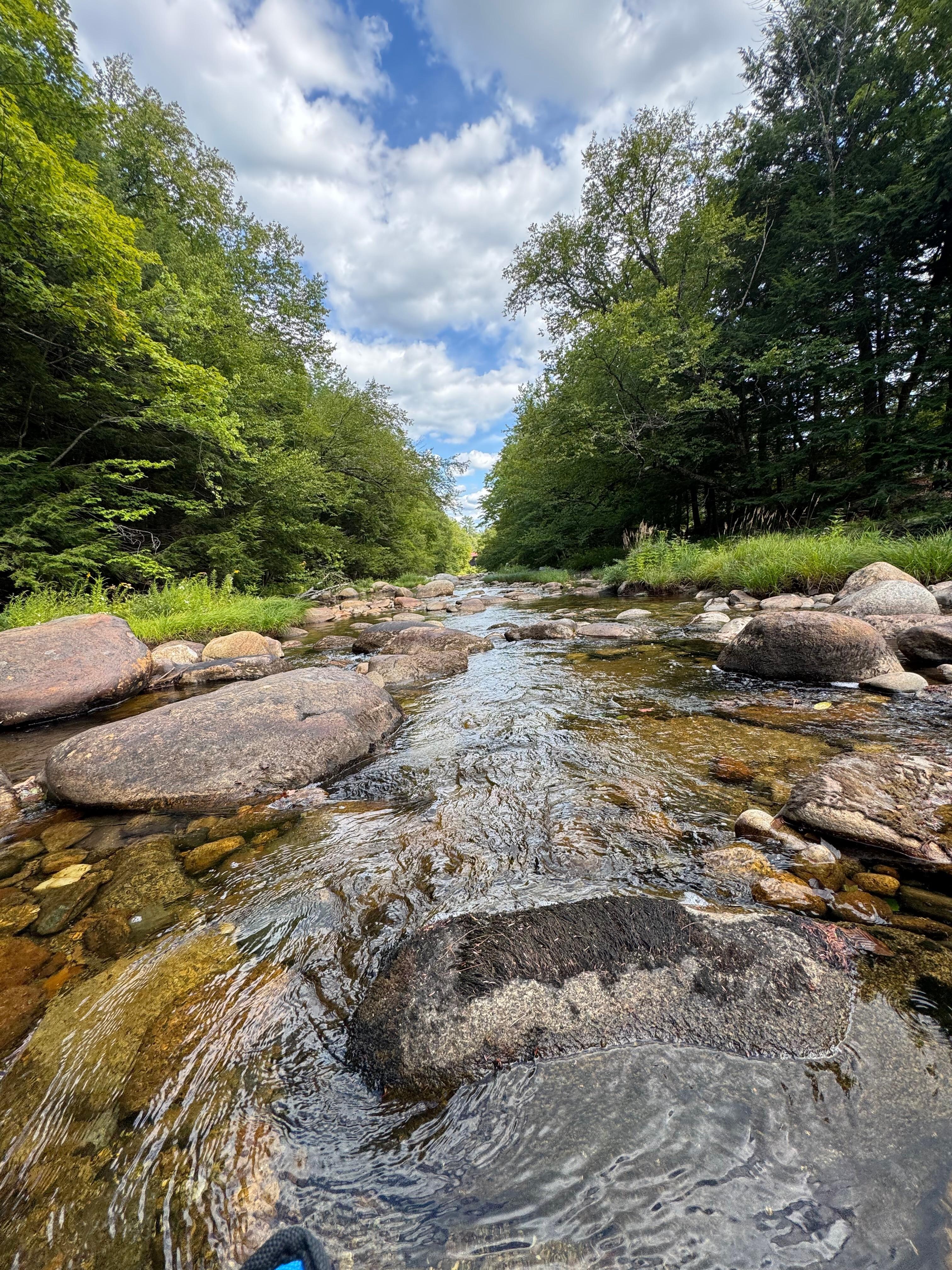 View downstream from the cottage