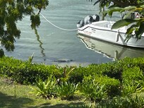 View from kitchen window.