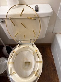 Odd dirty toilet.