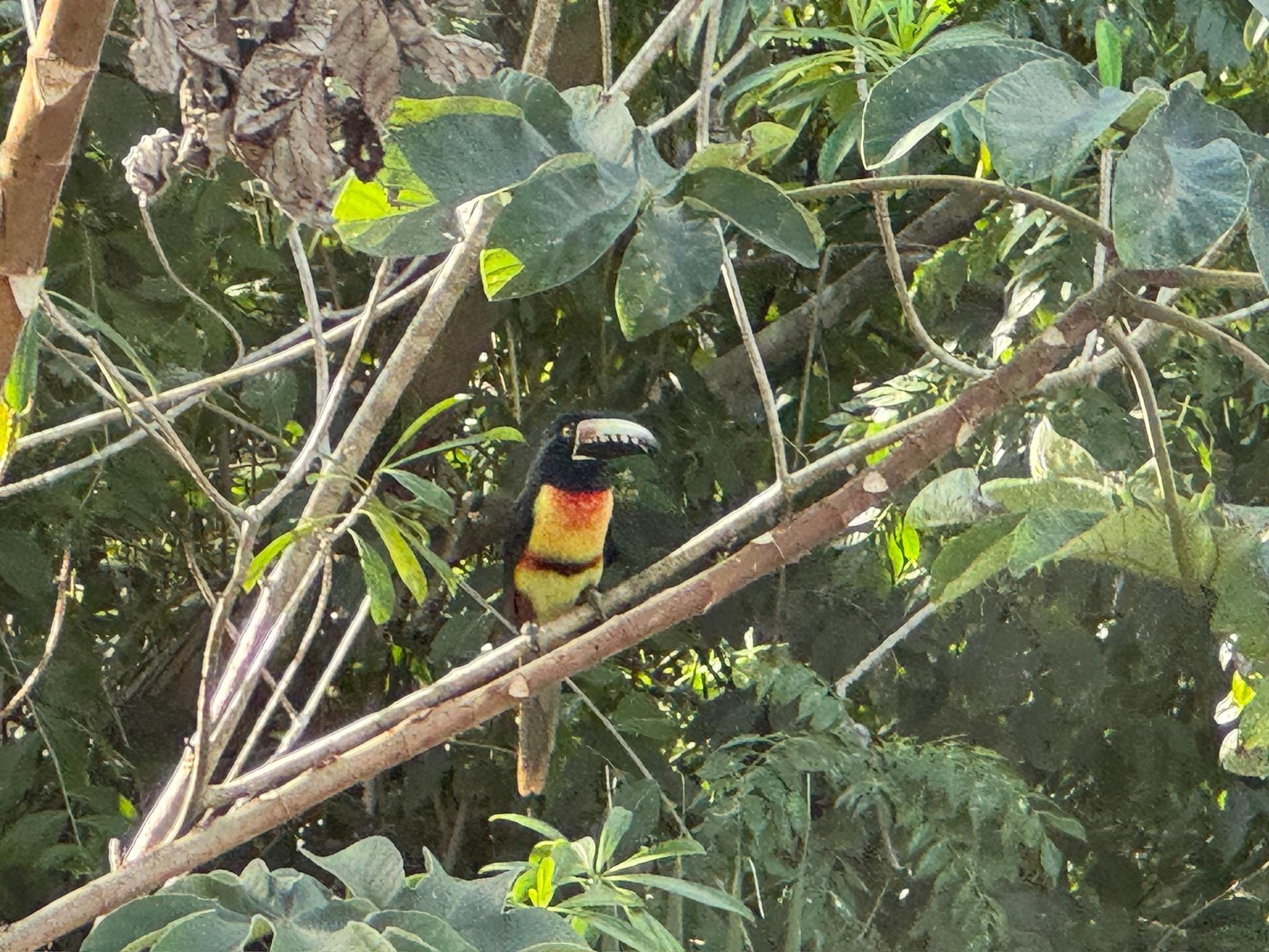 Right next to our deck!