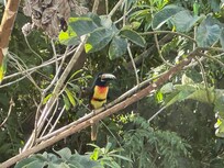 Right next to our deck!