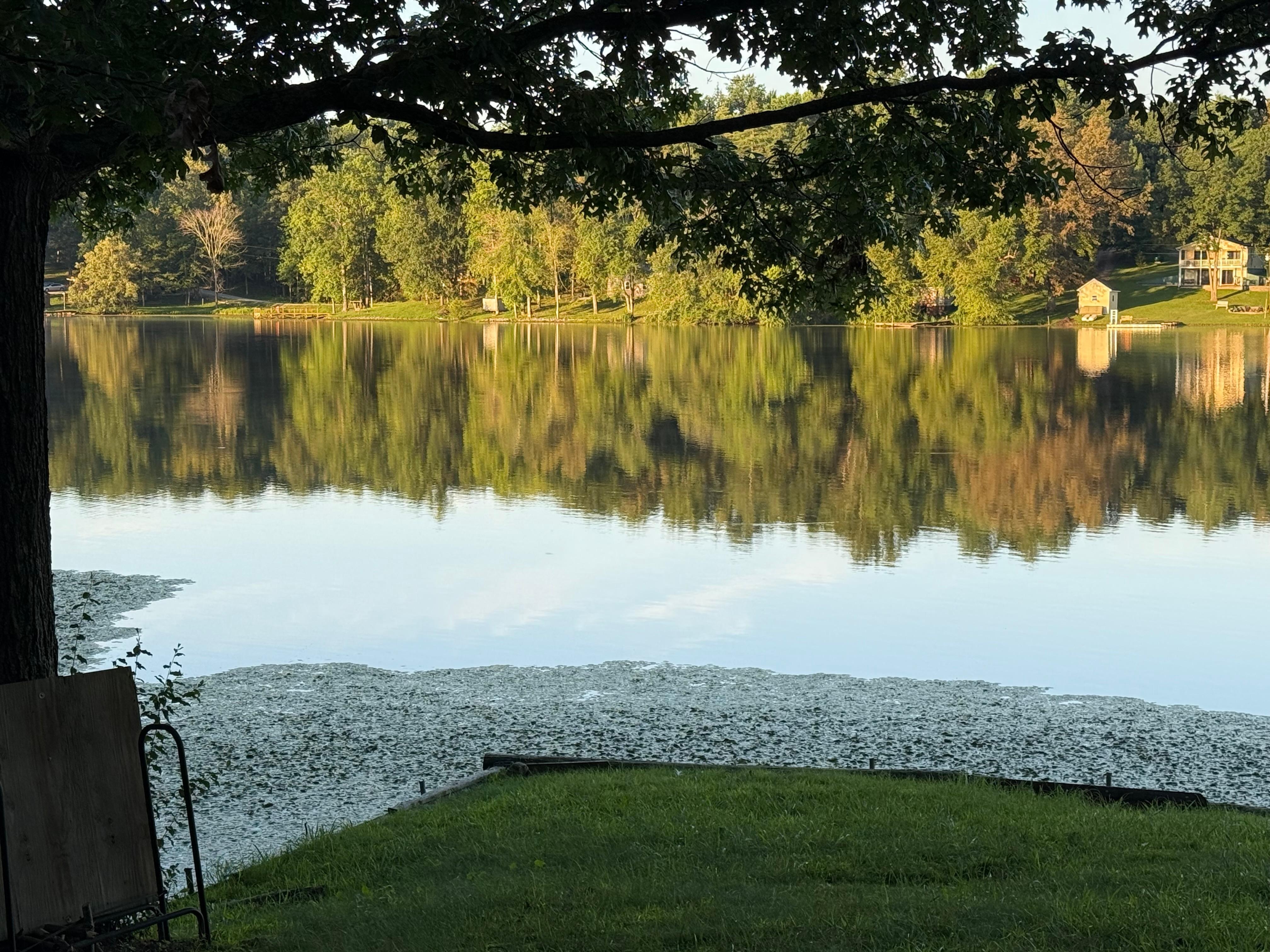 Shodow of trees on lake