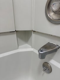 So much black mold and other types of mold in the tub.