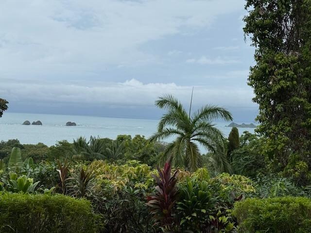 View from house 