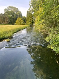 The creek