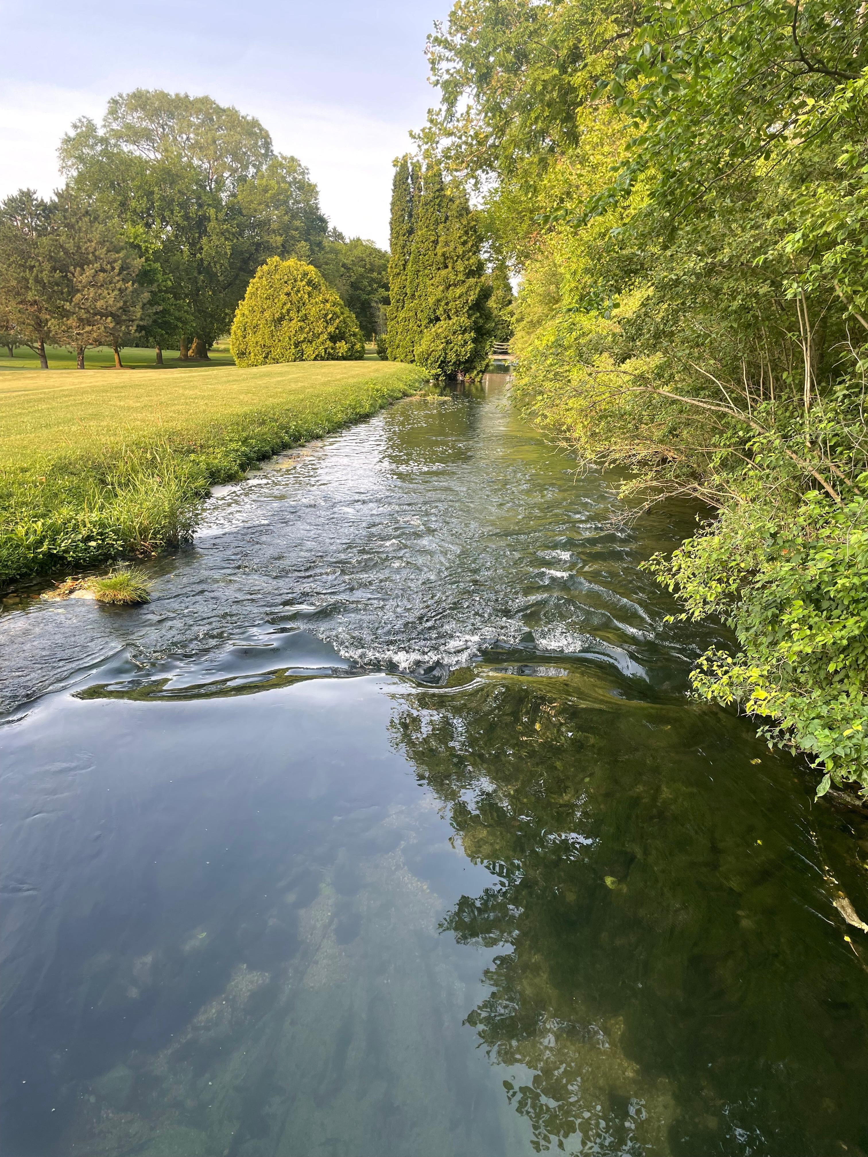 The creek