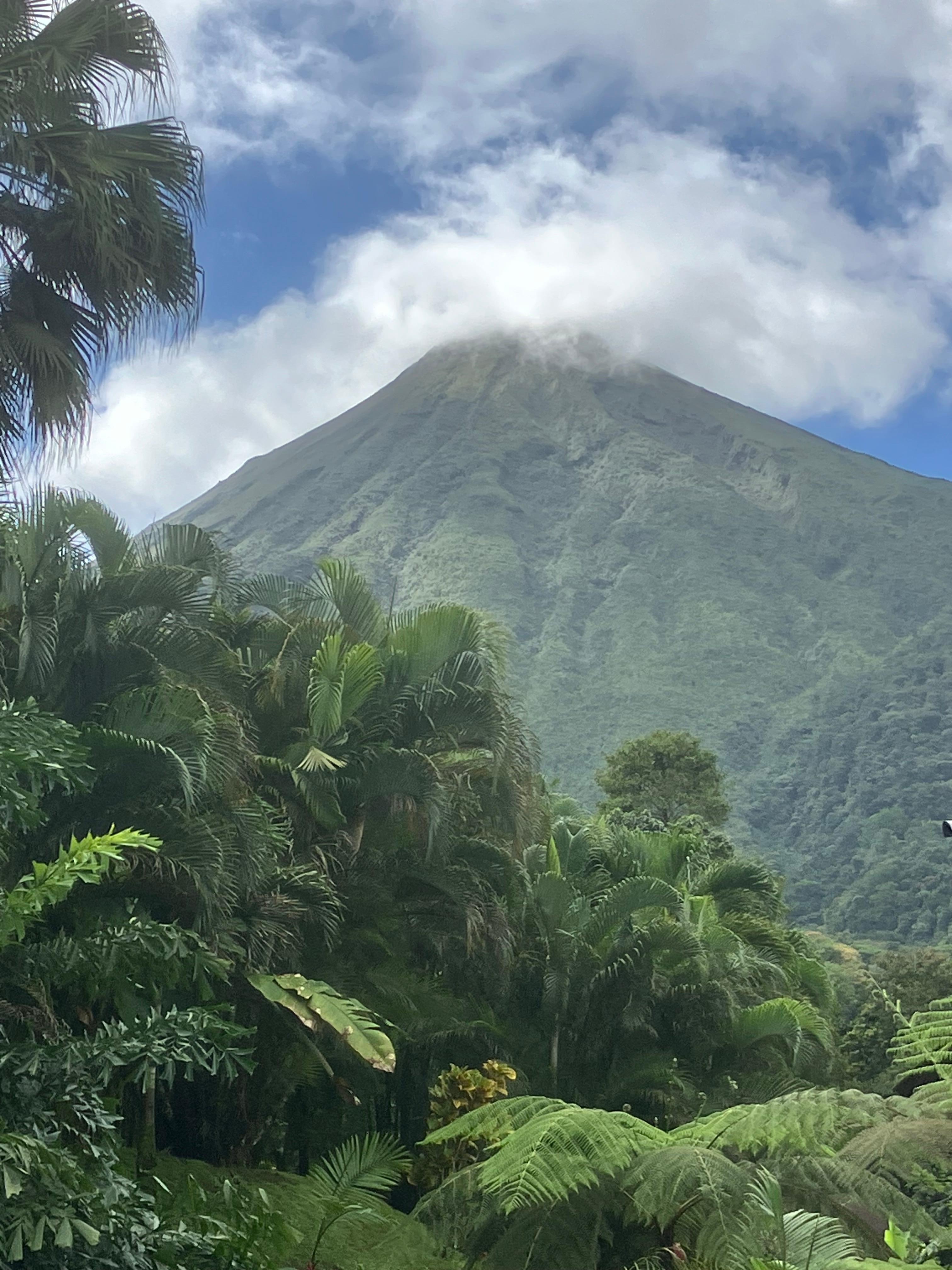 View from veranda