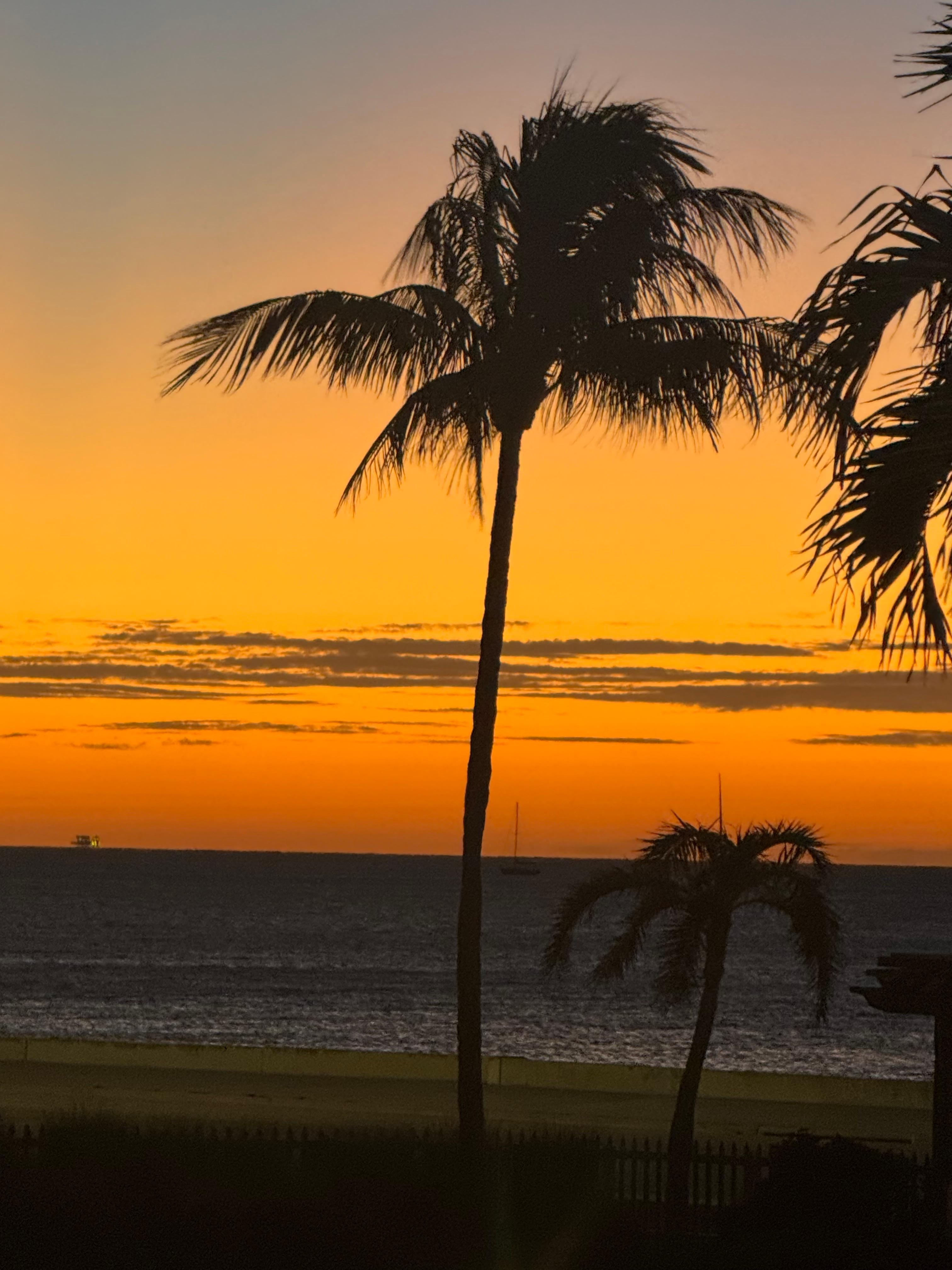Sunrise view from patio of the condo 
