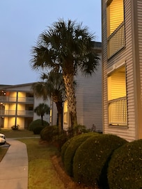 Out front of the condo. I just love the palm trees. So pretty.