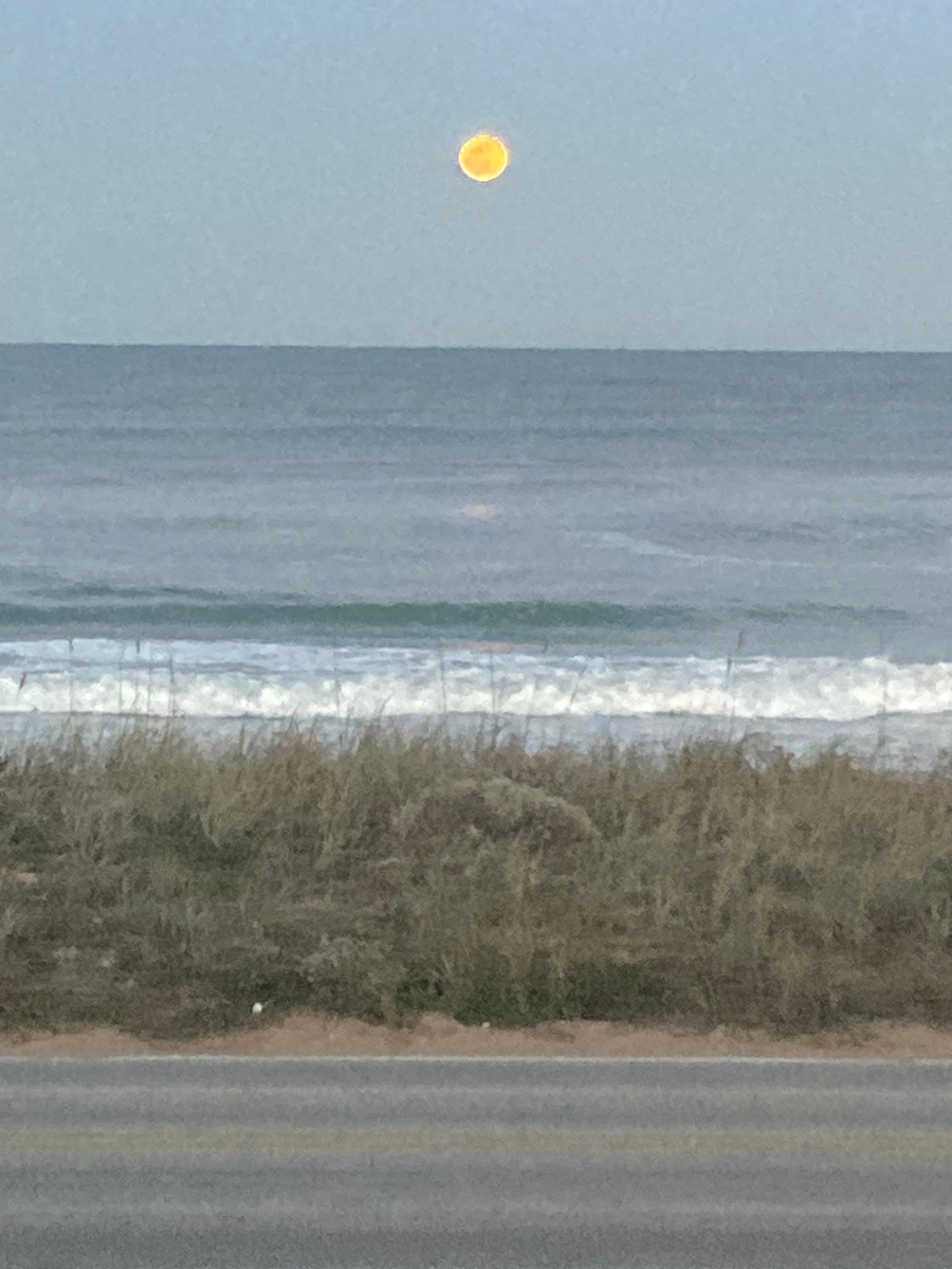 View from the balcony 