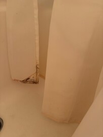 Moldy shower curtain