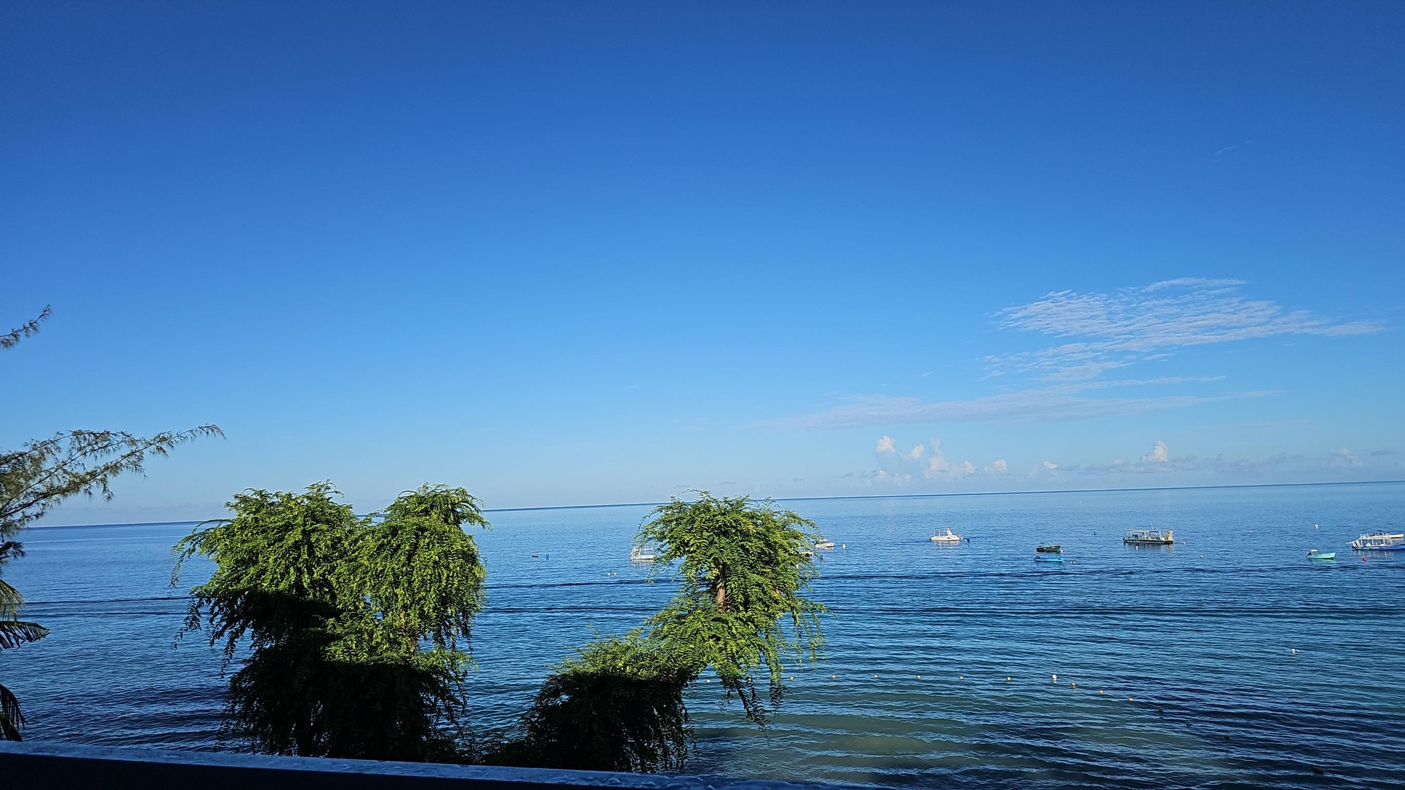 Starting the day - the right way