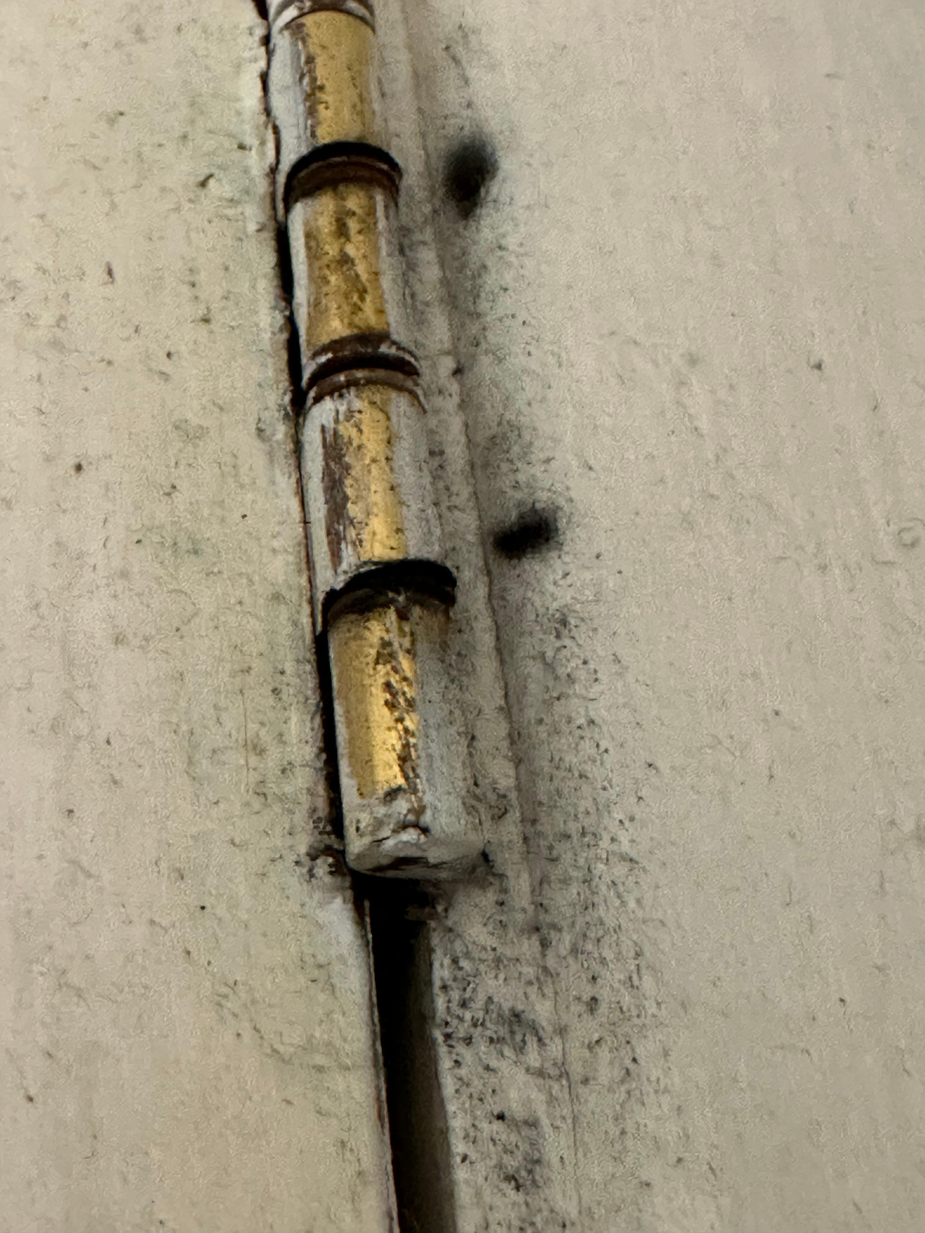 Mold and Mildew growing throughout the property, disguised by air fresheners 