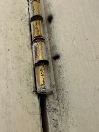 Mold and Mildew growing throughout the property, disguised by air fresheners