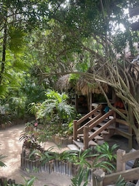 Stairs leading up to room