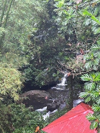 View from the porch
