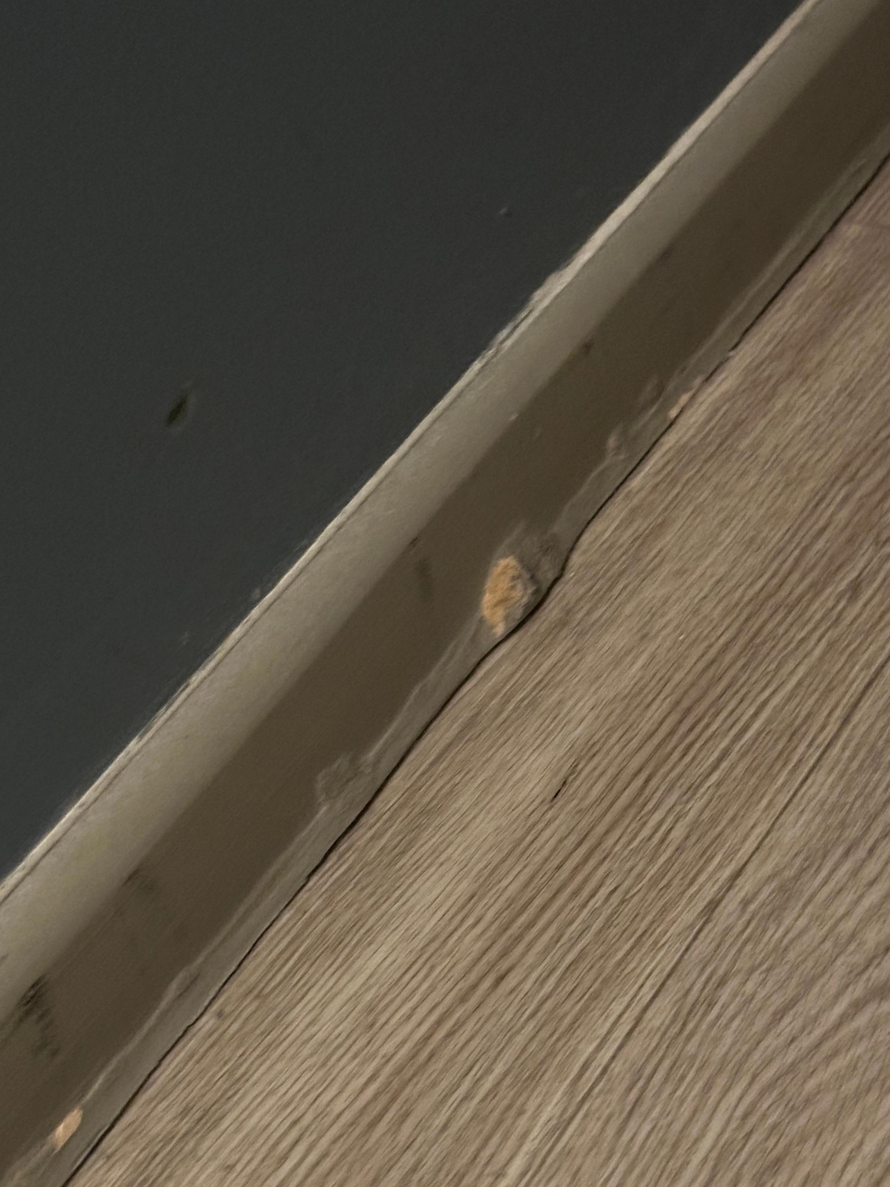 Modes forming behind the walls